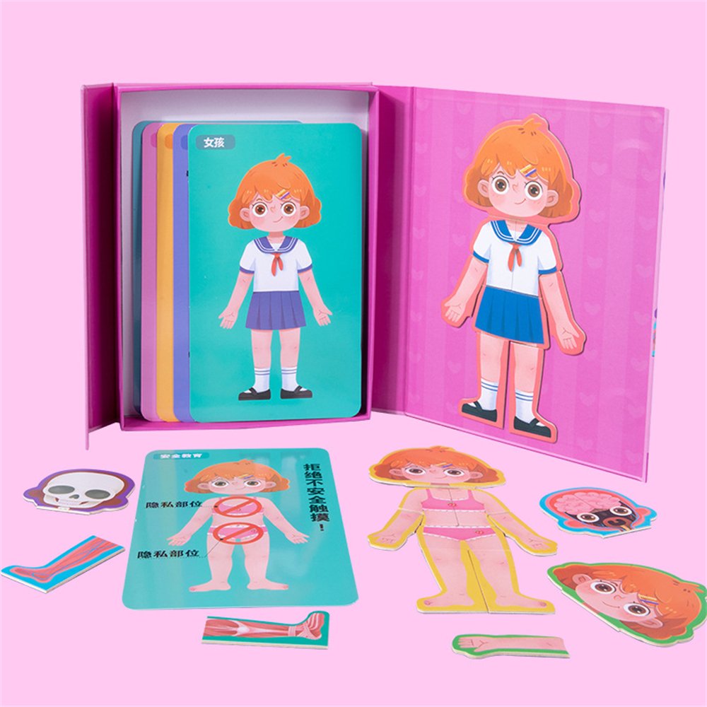 magnetic body structure puzzle 4