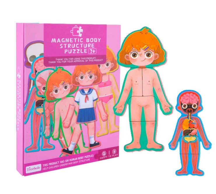 magnetic body structure puzzle 1