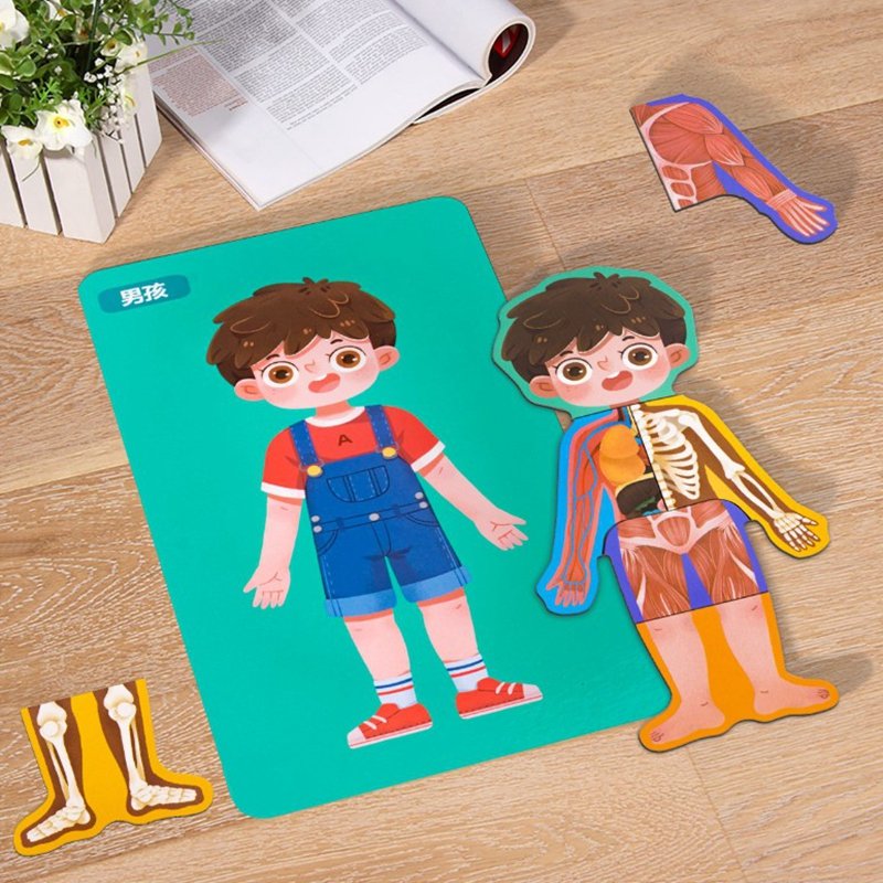 magnetic body structure puzzle 4