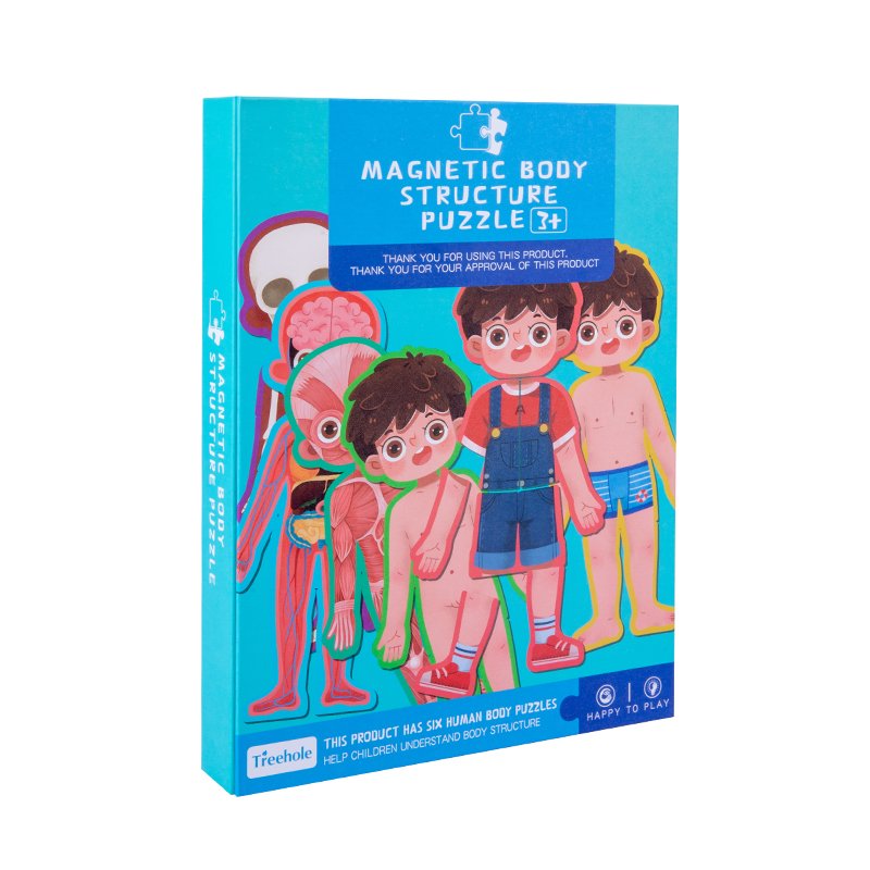magnetic body structure puzzle 1