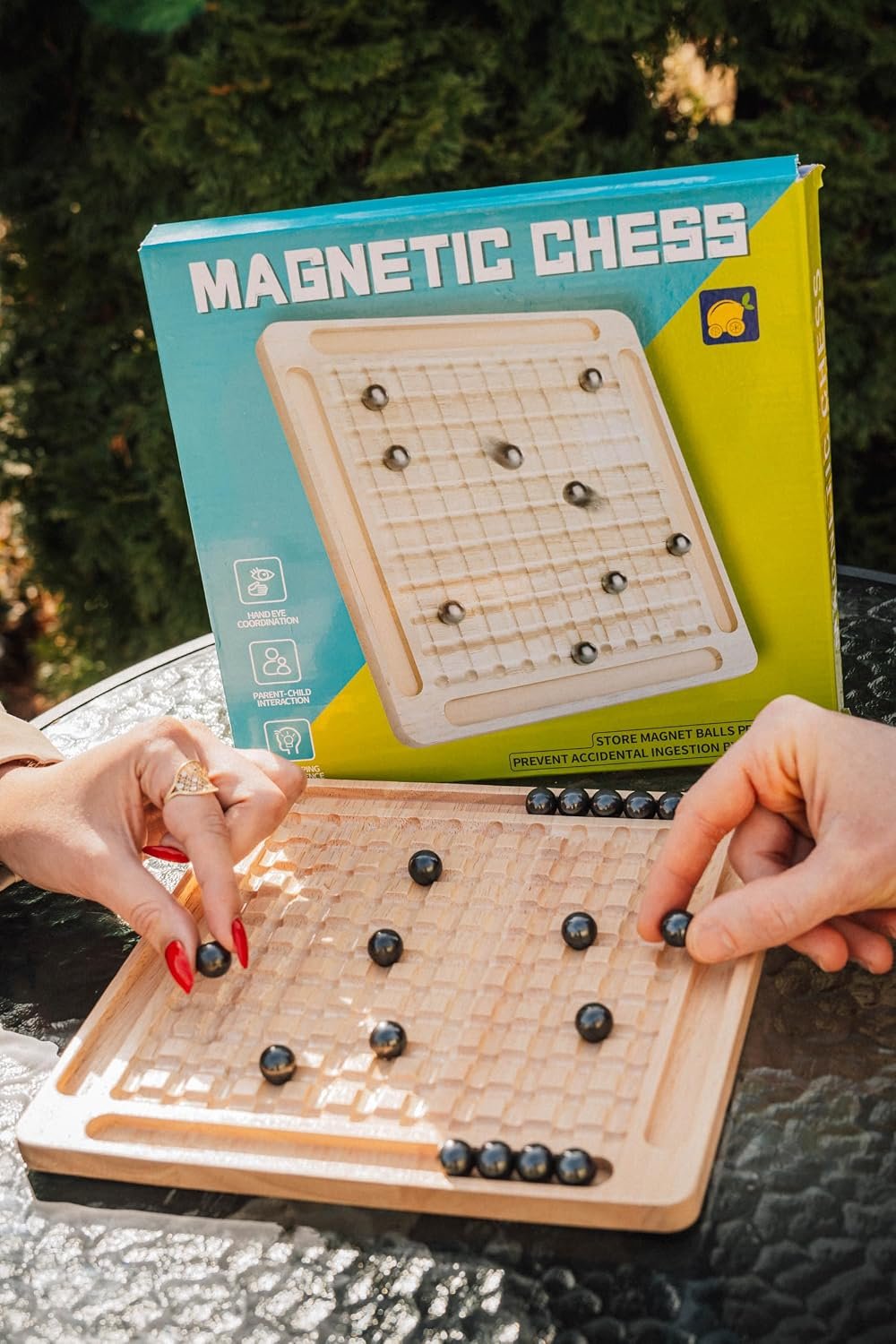 Magnetic Chess 4