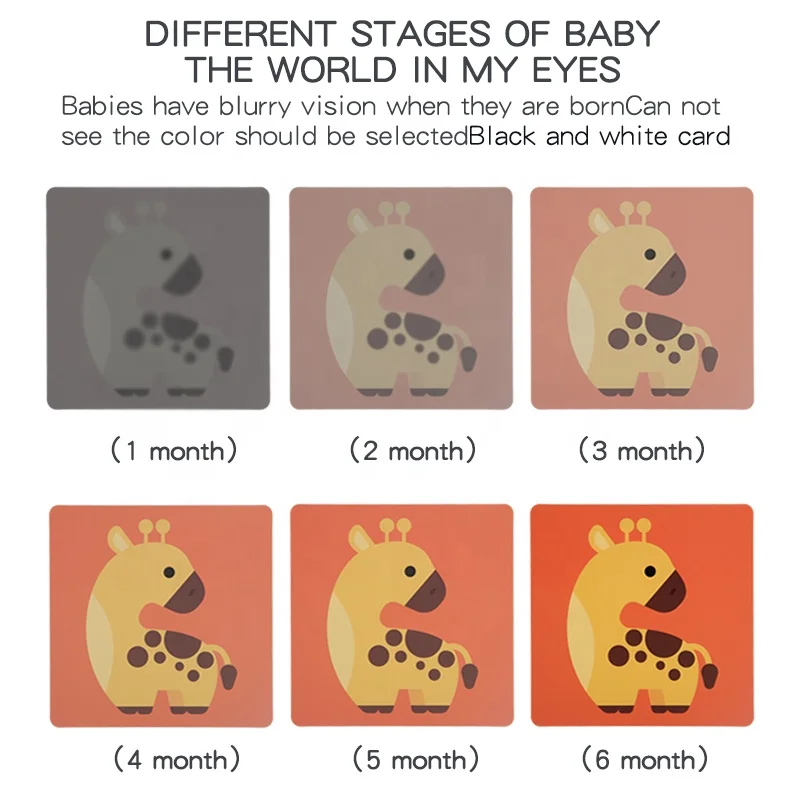 Baby vision 0-3 months 7