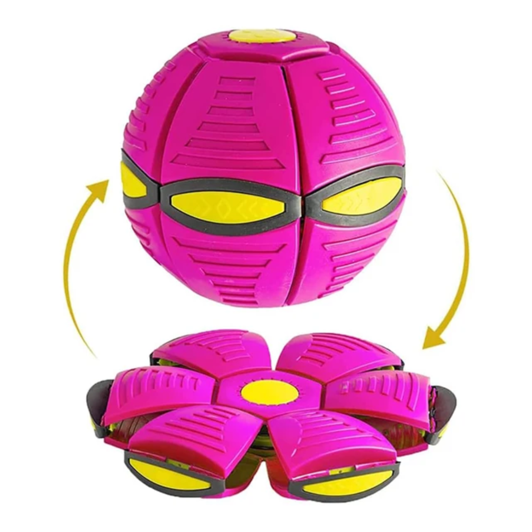 Flying Disc ball 6