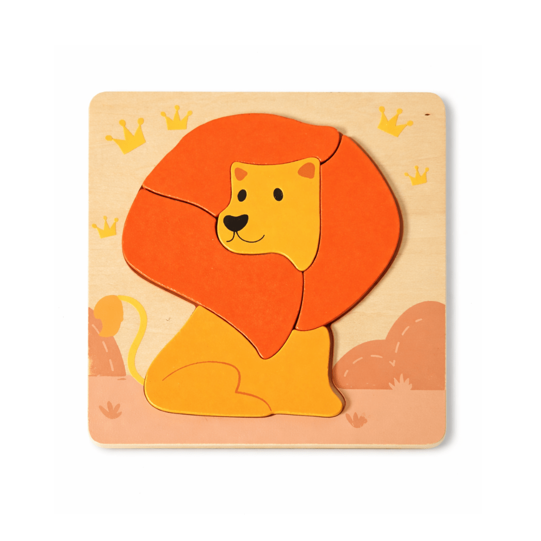 Set 6 Puzzles 5